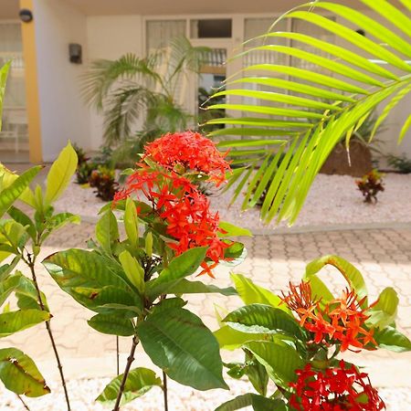 Montana Eco Resort Aruba Oranjestad Luaran gambar