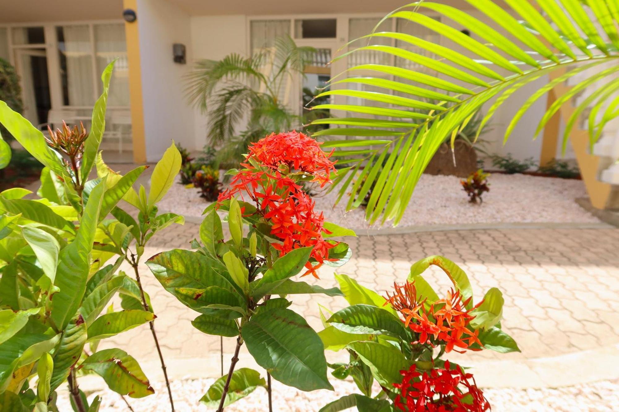 Montana Eco Resort Aruba Oranjestad Luaran gambar